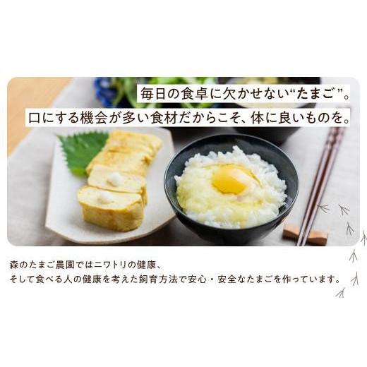 ふるさと納税 卵（鶏、烏骨鶏等） 岐阜県 高山市 定期便 卵 12ヶ月 平飼い 自然卵 24個 セット たまご 卵 飛騨高山 森のたまご農園 LW104 | 定期便 たまご 定…_3