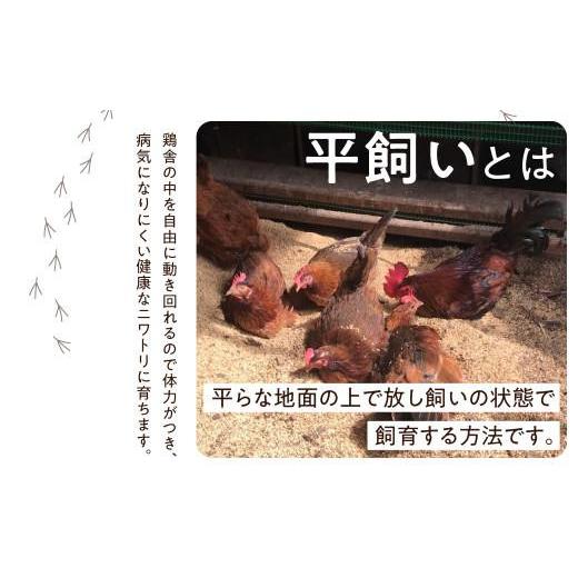 ふるさと納税 卵（鶏、烏骨鶏等） 岐阜県 高山市 定期便 卵 12ヶ月 平飼い 自然卵 24個 セット たまご 卵 飛騨高山 森のたまご農園 LW104 | 定期便 たまご 定…_4