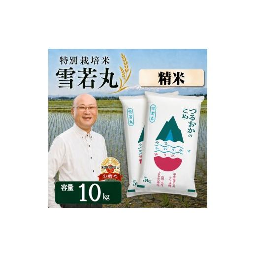 ふるさと納税 米 山形県 鶴岡市 令和7年産 特別栽培米 雪若丸 精米 10kg(5kg×2袋) 山形県 庄内産 | ゆきわかまる 10キロ 米 お米 コメ 白米 食品 ご飯 ご…