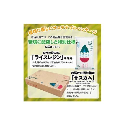 雪若丸 20kg 令和7年 山形 特別栽培米 食品 雪若丸 20kg 令和7年 山形