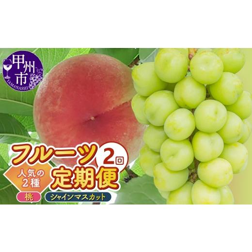 ふるさと納税 もも 山梨県 甲州市 定期便 2回フルーツ定期 桃約2.0kg(5〜8玉)シャインマスカット約1.0kg(2房)人気の2種セット 2026年発送 (KKK)B19-831…