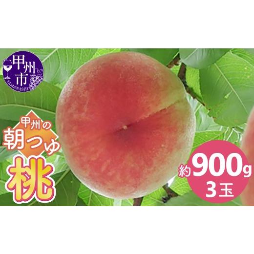 ふるさと納税 もも 山梨県 甲州市 甲州の朝つゆ桃お試し 約900g(3玉) 2026年発送 (KKK)A06-830 桃 もも モモ 令和8年発送 期間限定 産地直送 山梨県産 甲…