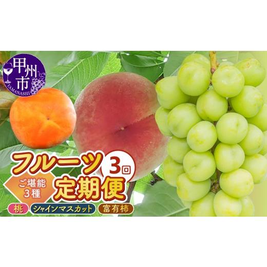 ふるさと納税 もも 山梨県 甲州市 定期便 3回フルーツ定期 桃約2.0kg(5〜8玉)シャインマスカット約1.0kg(2房)富有柿約2.5kg(9〜12個)ご堪能3種セット 2…