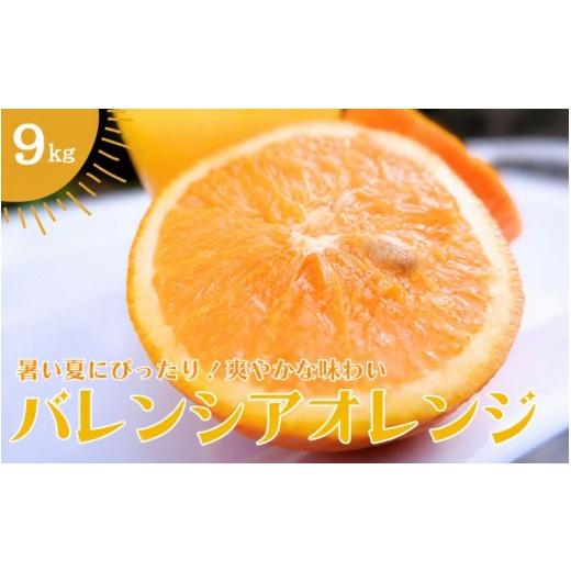 ふるさと納税 みかん・柑橘類 デコポン 和歌山県 田辺市 バレンシアオレンジ 9kg 2026年6月下旬頃より順次発送 / みかん ミカン 蜜柑 バレンシアオレンジ オ…