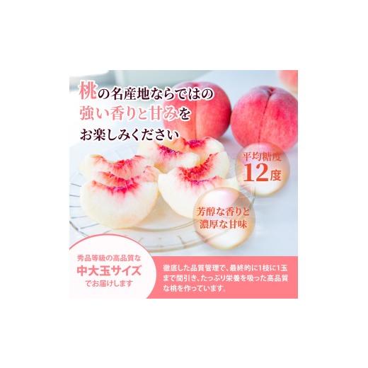 ふるさと納税 もも 山梨県 甲州市 甲州の朝つゆ桃 約2.0kg（5〜8玉） 2026年発送 （KKK）B-831 桃 もも モモ 令和8年発送 期間限定 産地直送 山梨県産 甲州市 …_3