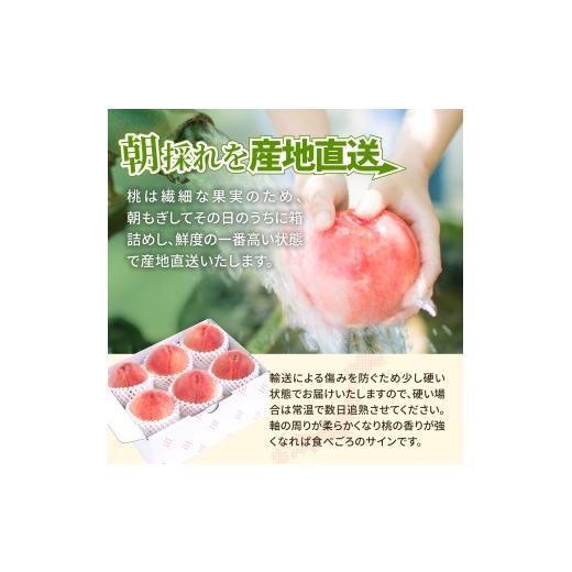 ふるさと納税 もも 山梨県 甲州市 甲州の朝つゆ桃 約2.0kg（5〜8玉） 2026年発送 （KKK）B-831 桃 もも モモ 令和8年発送 期間限定 産地直送 山梨県産 甲州市 …_4