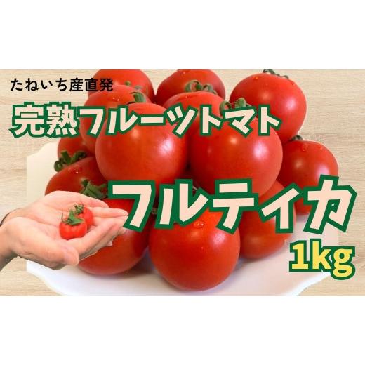 ふるさと納税 野菜類 トマト 岩手県 洋野町 収穫当日発送 完熟フルーツトマト(フルティカ)1kg