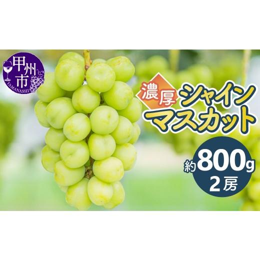 ふるさと納税 ぶどう マスカット 山梨県 甲州市 濃厚シャインマスカットおためし約800g(2房) 2026年発送 (KKK)A08-830 シャインマスカット 濃厚 葡萄 ぶど…