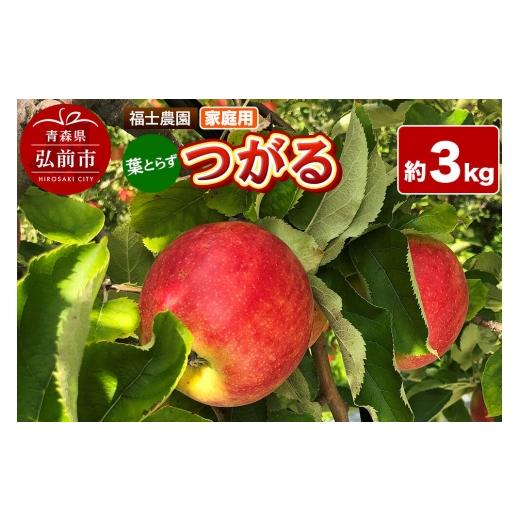 ふるさと納税 りんご 青森県 弘前市 26年9月発送 りんご 葉とらず つがる 家庭用 約3kg 青森県 弘前市 青森県産 産地直送 アップル おいしい 果実 果物 赤色 …