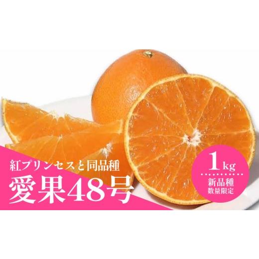 ふるさと納税 みかん・柑橘類 愛媛県 松山市 2027年3月上旬頃から順次発送 愛果48号(紅プリンセスと同品種) 約1.0kg |あいか 愛果 紅まどんな × 甘平 紅…