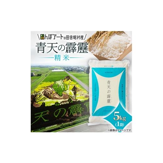 ふるさと納税 米 青森県 田舎館村 田んぼアートの村からお届け 青天の霹靂 精米 5kg 1743383