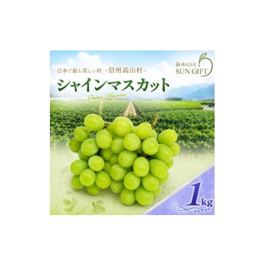 ふるさと納税 ぶどう 長野県 高山村 先行受付 信州高山村産 シャインマスカット1kg(2〜3房入り)秀品(訳あり品ではございません) 1740774