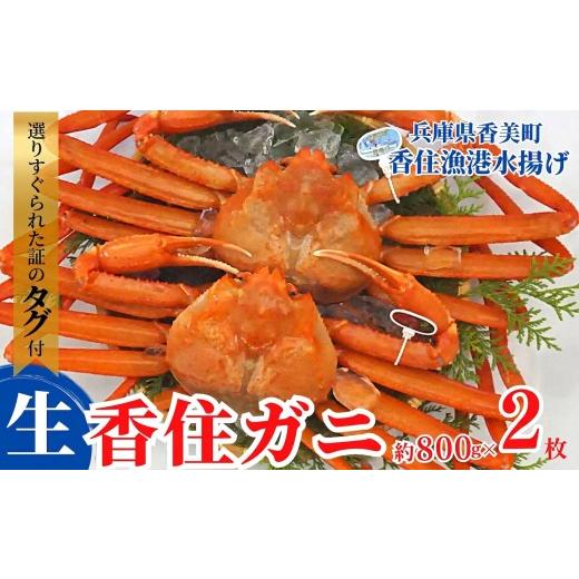 ふるさと納税 カニ 活ガニ 兵庫県 香美町 香住ガニ(生)大 タグ付き 約800g×2枚 冷蔵 令和8年11月以降発送予定 カニ 甘み 強い かに カニ 蟹 香住がに 紅ず…