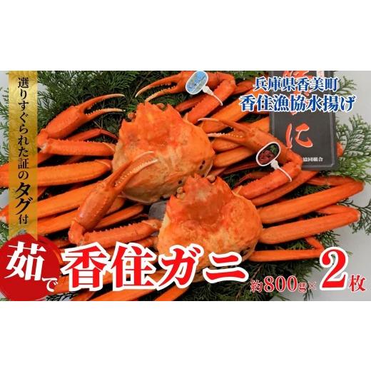 ふるさと納税 カニ 兵庫県 香美町 香住ガニ(ボイル)大 タグ付き 約800g×2枚 冷蔵 令和9年1月中旬以降発送予定 カニ 甘み 強い かに カニ 蟹 香住がに 紅ず…