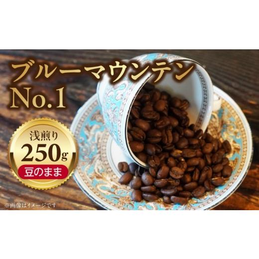 ふるさと納税 コーヒー コーヒー豆 愛知県 小牧市 ブルーマウンテンNo.1(豆のまま)