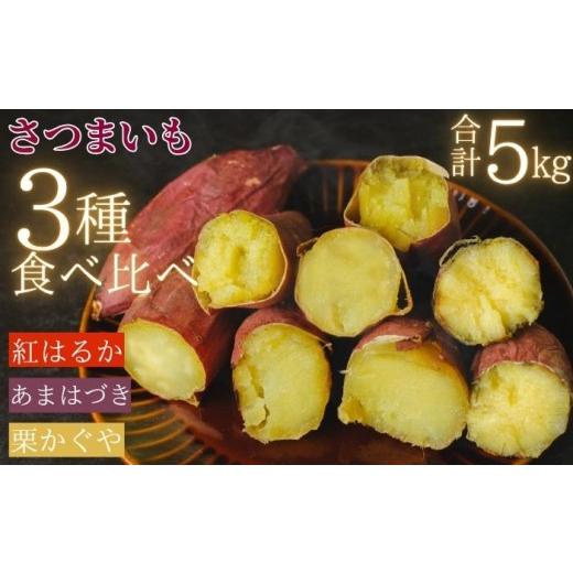 ふるさと納税 野菜類 サツマイモ 岩手県 滝沢市 先行予約 10月 発送 滝沢産 さつまいも セット 5kg 紅はるか あまはづき 栗かぐや 駿河農園ベジスル サツマイ…