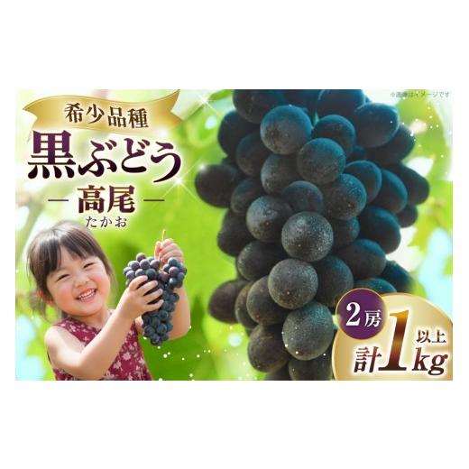 ふるさと納税 果物類 ぶどう 山形県 高畠町 期間限定発送 ぶどう 高尾 1kg以上 (2房) 長澤農園 山形県 高畠町 tk06bis330004 黒ぶどう 種なし フルーツ 果物 …