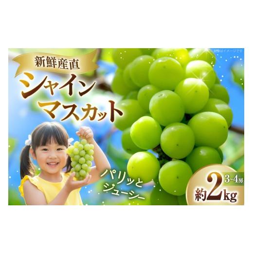 ふるさと納税 ぶどう マスカット 山形県 高畠町 期間限定発送 シャインマスカット 3〜4房 約2kg 長澤農園 山形県 高畠町 tk06bis330002 ぶどう ブドウ 葡萄 2…