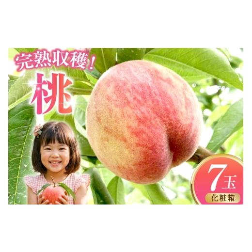 ふるさと納税 もも 宮城県 南三陸町 期間限定発送 桃 化粧箱 7玉 入り 南三陸さんさんマルシェ 宮城県 南三陸町 m304amh600124 果物 フルーツ もも 完熟 くだ…