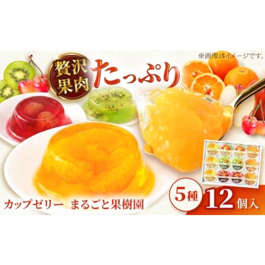 ふるさと納税 菓子 ゼリー 愛媛県 砥部町 ゼリー カップゼリーまるごと果樹園詰め合わせ 5種12個セット( 伊予柑 みかん りんご キウイフルーツ さくらんぼ )/…