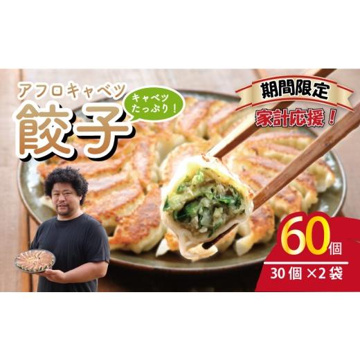 ふるさと納税 餃子 千葉県 銚子市 家計応援 餃子 60個 期間限定 きゃべつ 餃子 ぎょうざ ギョーザ 肉 汁 豚肉 国産 食品 小分け 大容量 野菜 冷凍餃子 冷凍ギ…