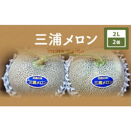 ふるさと納税 メロン 神奈川県 三浦市 先行予約 三浦メロン 2Lサイズ×2個 M129-003-01