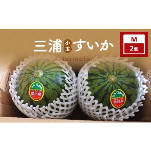 ふるさと納税 スイカ 神奈川県 三浦市 先行予約 三浦小玉すいか Mサイズ×2個 M129-004-01