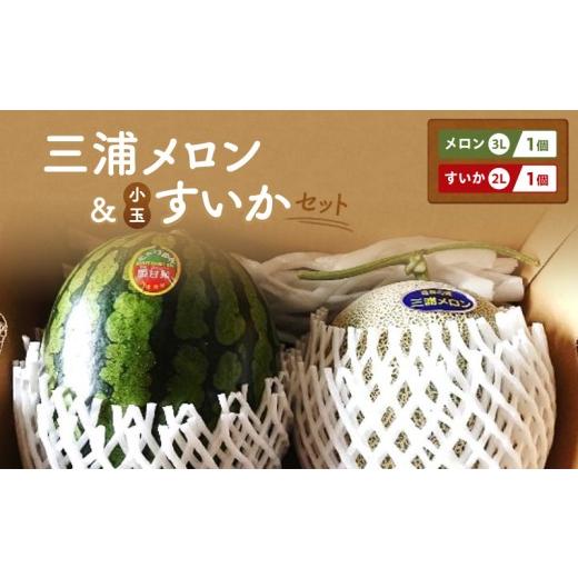 ふるさと納税 メロン 神奈川県 三浦市 先行予約 三浦メロン 3Lサイズ×1個 三浦小玉すいか 2Lサイズ×1個セット M129-005-01