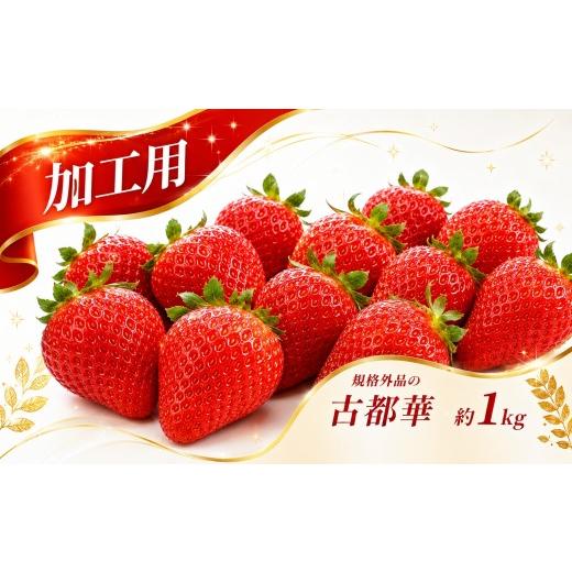 ふるさと納税 いちご 奈良県 平群町 加工用 規格外品 の 古都華 約 1kg | 先行予約 果物 くだもの フルーツ 苺 イチゴ いちご ストロベリー 古都華 ことか 旬…