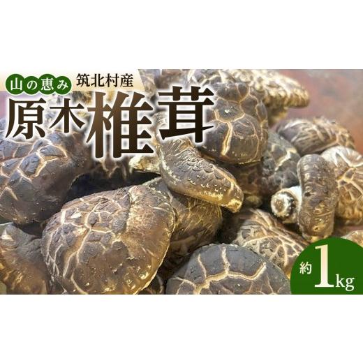 ふるさと納税 野菜類 きのこ 長野県 筑北村 先行予約 2027年3月上旬頃〜順次発送予定 ちっくほっくふぁ〜む 山の恵み 原木椎茸 1kg