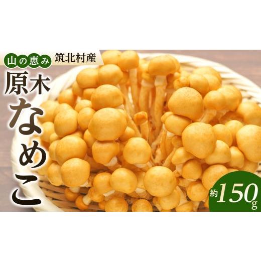 ふるさと納税 野菜類 きのこ 長野県 筑北村 先行予約 2026年11月上旬頃〜順次発送予定 ちっくほっくふぁ〜む 山の恵み 原木なめこ約150g