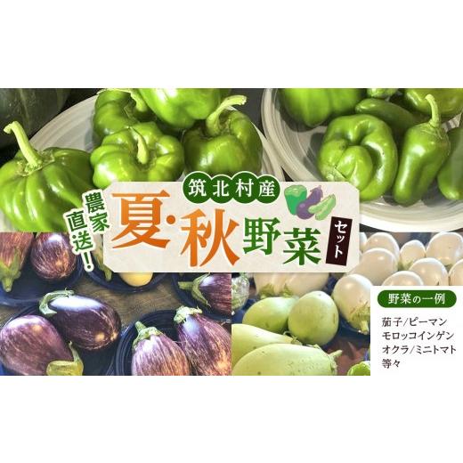 ふるさと納税 セット・詰合せ 長野県 筑北村 先行予約 2026年9月上旬頃〜順次発送予定 ちっくほっくふぁ〜む 夏・秋野菜セット