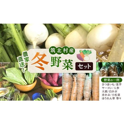 ふるさと納税 セット・詰合せ 長野県 筑北村 先行予約 2026年11月上旬頃〜順次発送予定 ちっくほっくふぁ〜む 冬野菜セット