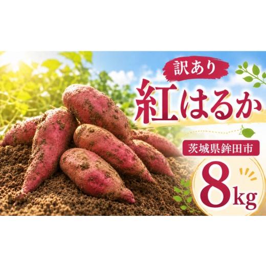 ふるさと納税 野菜類 サツマイモ 茨城県 鉾田市 さつまいも 紅はるか 約 8kg 訳あり サツマイモ さつま芋 甘藷 生芋 いも 芋 イモ 焼き芋 やきいも 不揃い 規…