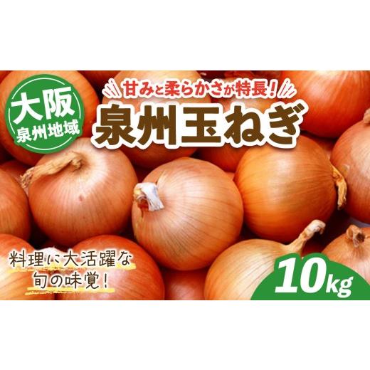 ふるさと納税 野菜類 玉ねぎ 大阪府 泉大津市 泉州玉ねぎ 10kg | 野菜 やさい 伝統野菜 泉州玉ねぎ たまねぎ 玉葱 ネギ 産地直送 大阪府 泉大津市 2026年7月〜…