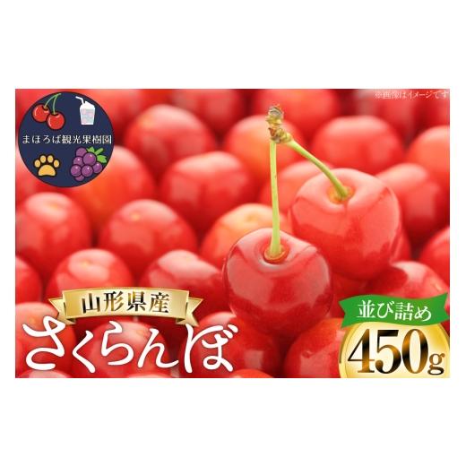 ふるさと納税 果物類 さくらんぼ 山形県 高畠町 期間限定発送 さくらんぼ 贈答 450g以上 並び詰め まほろばかじゅ園 山形県 高畠町 tk06bim610003 サクランボ…