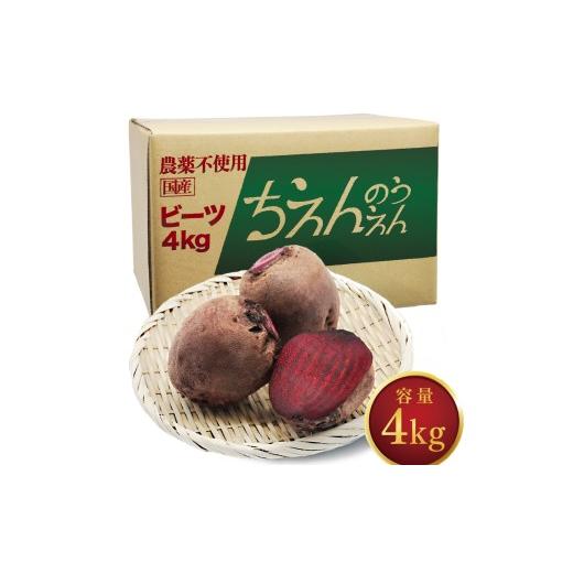 ふるさと納税 人参・大根・他根菜 神奈川県 平塚市 生ビーツ 4kg 最短翌日発送〜3営業日以内発送 新鮮 ビーツ ビートルート 野菜 食べ物 料理 スーパーフード …