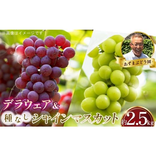 ふるさと納税 果物類 ぶどう 大阪府 大阪狭山市 シャインマスカット デラウェア 詰め合わせ 2.5kg あずまぶどう園 / 産地直送 ぶどう マスカット フルーツ 食…