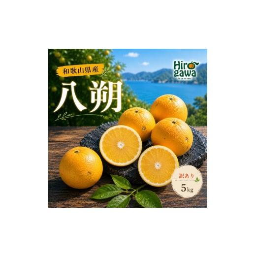 ふるさと納税 果物類 みかん 和歌山県 広川町 八朔 訳あり 5kg / 和歌山 有田 広川 はっさく 柑橘 果物 くだもの ギフト フルーツ 果実 2027年2月上旬〜2月下…
