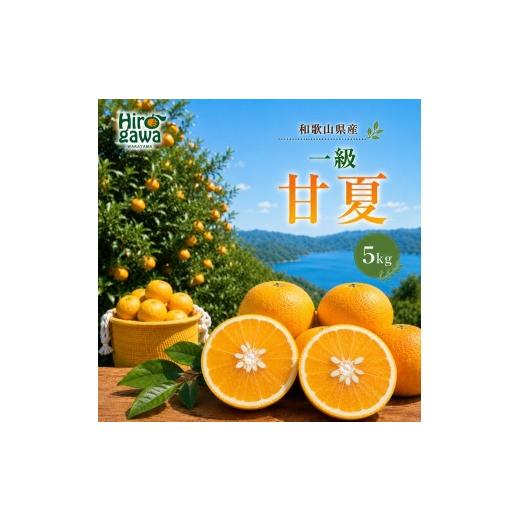 ふるさと納税 果物類 みかん 和歌山県 広川町 甘夏 一級 5kg / 和歌山 有田 広川 あまなつ 柑橘 果物 くだもの ギフト フルーツ 果実 2027年3月上旬〜3月下旬…