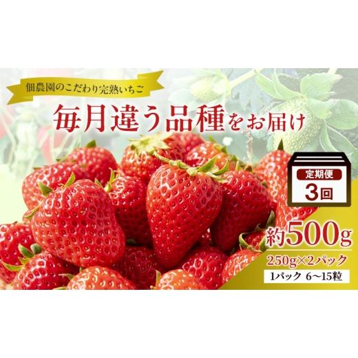 ふるさと納税 いちご 奈良県 大和郡山市 先行予約 3回定期 毎月違う品種をお届け 奈良 いちご あすかルビー 古都華 奈乃華 ブランド イチゴ フルーツ ことか …