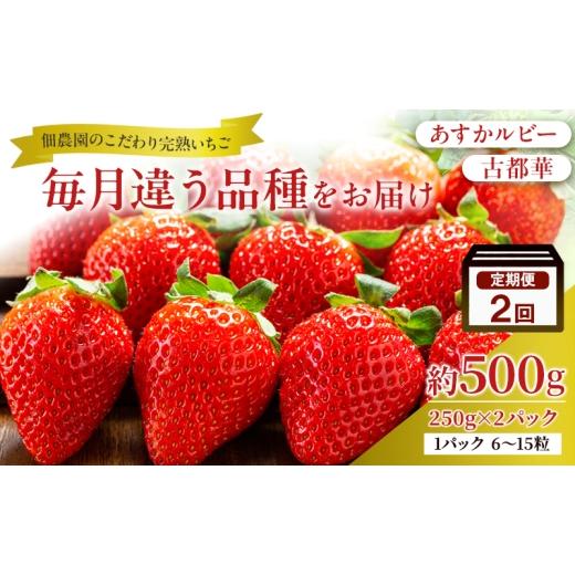 ふるさと納税 いちご 奈良県 大和郡山市 先行予約 2回定期 毎月違う品種をお届け 奈良 いちご あすかルビー 古都華 ブランド イチゴ フルーツ ことか 定期便 …