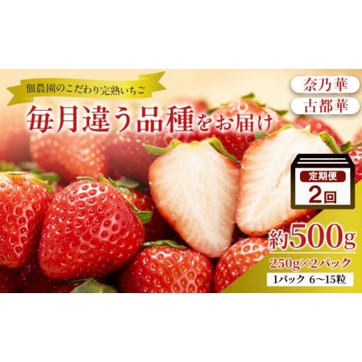 ふるさと納税 いちご 奈良県 大和郡山市 先行予約 2回定期 毎月違う品種をお届け 奈良 いちご 奈乃華 古都華 ブランド イチゴ フルーツ ことか なのか 定期便…