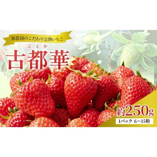 ふるさと納税 いちご 奈良県 大和郡山市 先行予約 いちご 完熟 古都華 約250g(250g×1パック ) 佃農園のこだわり 高評価 フルーツ 果物 旬 産地直送 旬の果物 …