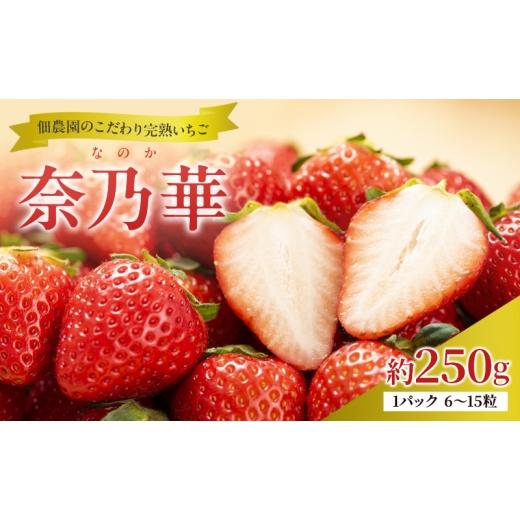 ふるさと納税 いちご 奈良県 大和郡山市 先行予約 いちご 完熟 奈乃華 約250g(250g×1パック ) 佃農園のこだわり フルーツ 果物 旬 産地直送 旬のフルーツ 旬…