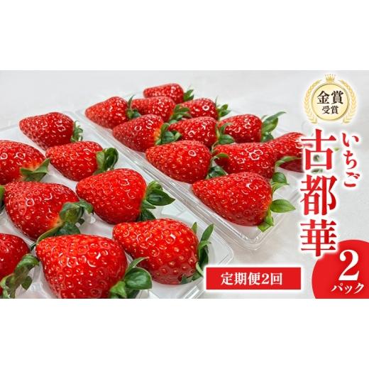 ふるさと納税 いちご 奈良県 大和郡山市 先行予約 いちご 定期便 2回 古都華 2パック 金賞受賞 フルーツ 果物 旬 産地直送 デザート ことか イチゴ 苺 冷蔵…