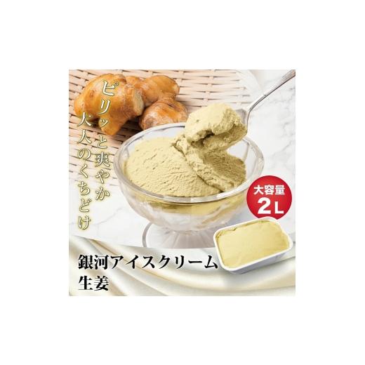ふるさと納税 菓子 アイス 奈良県 大和郡山市 銀河アイス 業務用2リットル 生姜  