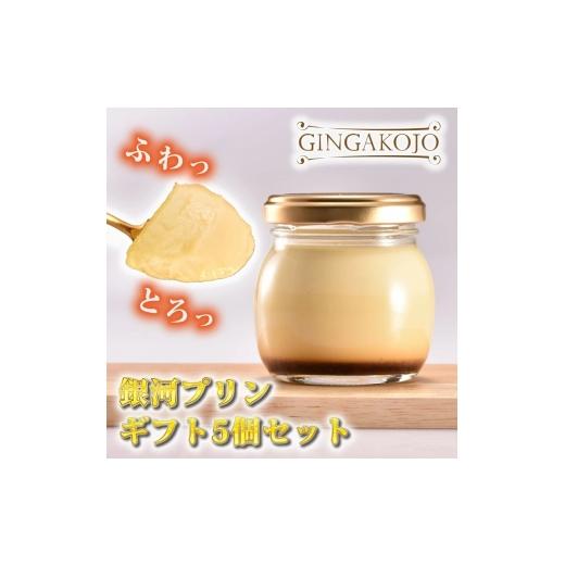 ふるさと納税 菓子 プリン 奈良県 大和郡山市 銀河プリン 5個セット  
