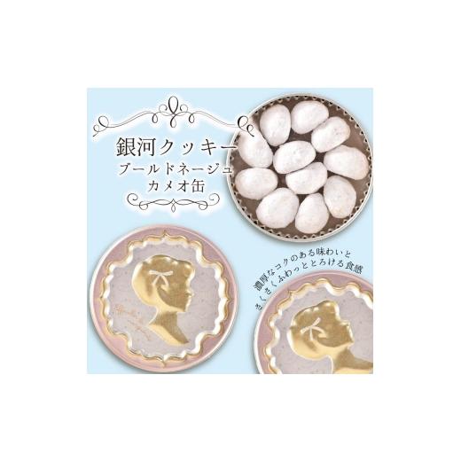 ふるさと納税 焼菓子・チョコレート クッキー 奈良県 大和郡山市 銀河クッキー ブールドネージュ カメオ缶  