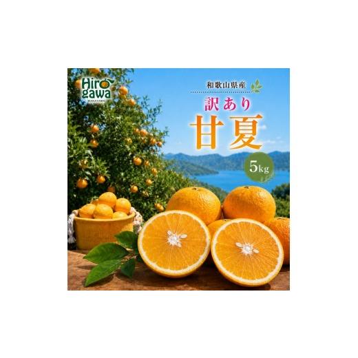 ふるさと納税 果物類 みかん 和歌山県 広川町 甘夏 訳あり 5kg / 和歌山 有田 広川 あまなつ 訳あり 柑橘 果物 くだもの ギフト フルーツ 果実 2027年3月上旬…